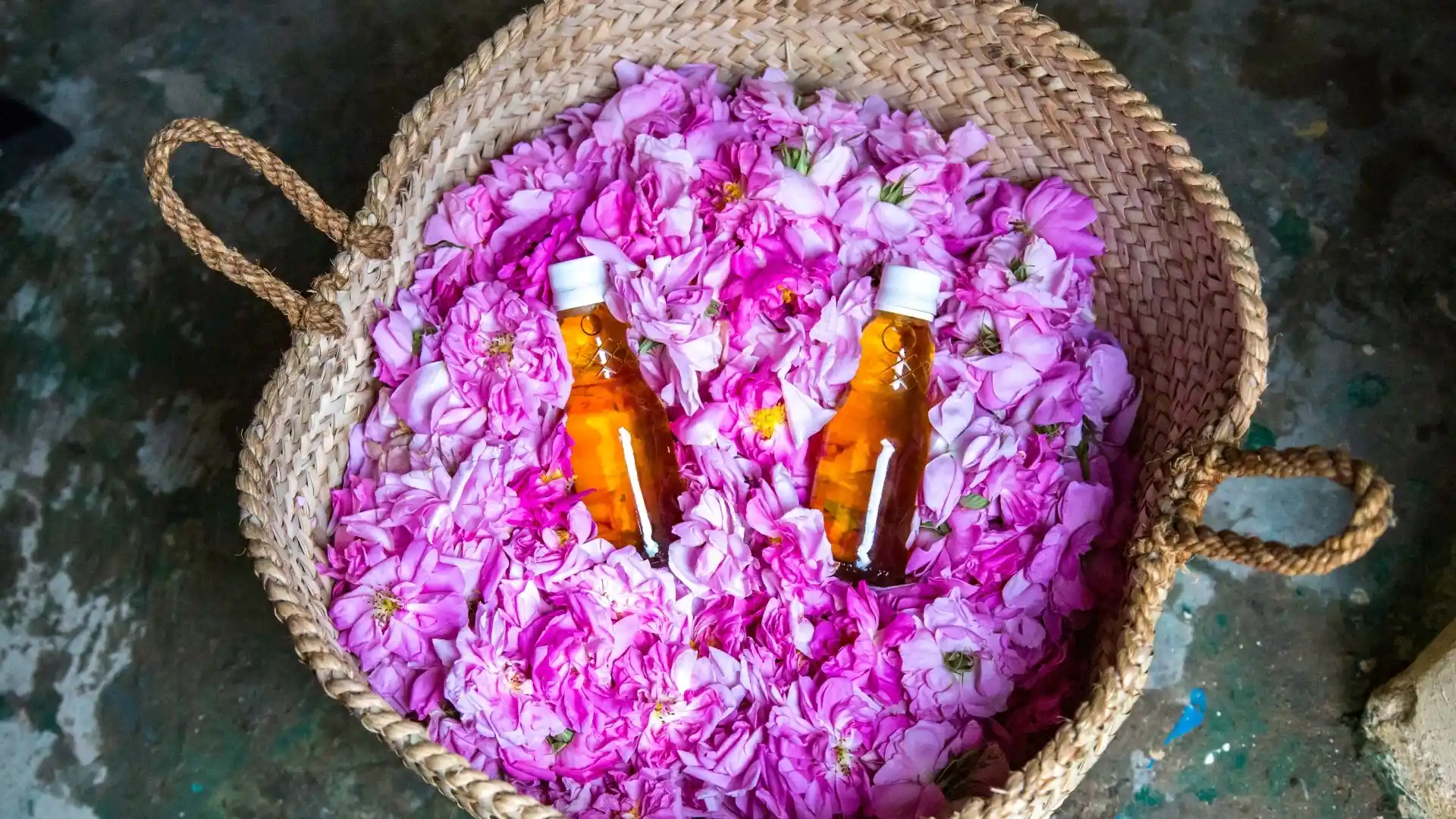 rose-water